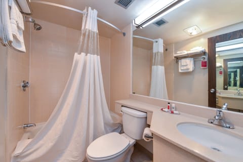 Combined shower/tub, deep soaking tub, free toiletries, hair dryer