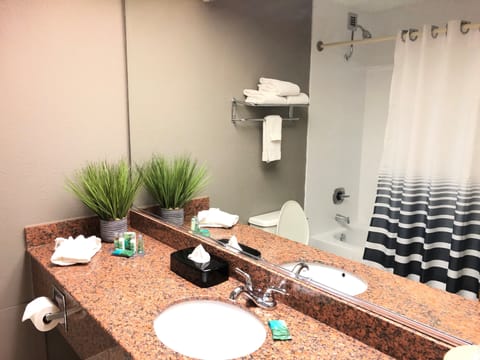 Combined shower/tub, free toiletries, hair dryer, towels