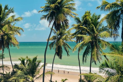 On the beach, sun loungers, beach volleyball