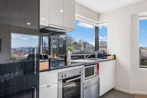 Apartment, 2 Bedrooms, Non Smoking, City View | Private kitchen | Full-size fridge, microwave, oven, stovetop