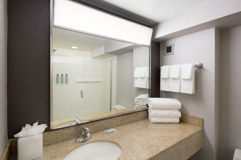 Combined shower/tub, hair dryer, towels