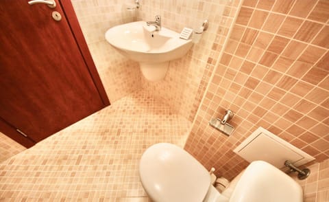 Classic Apartment | Bathroom | Shower, free toiletries, towels