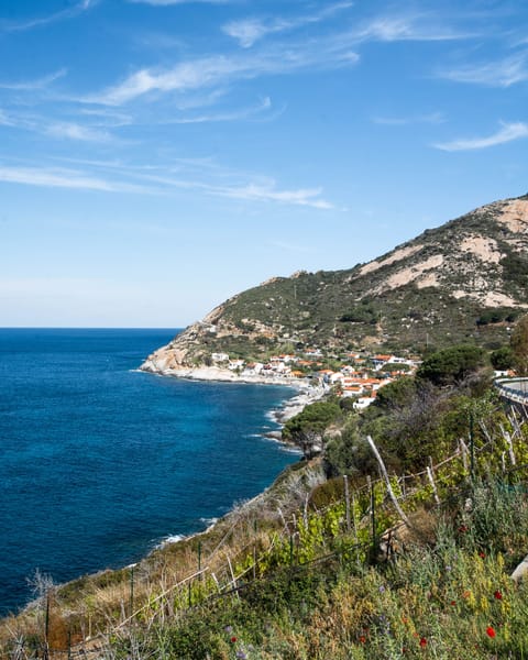 Land view from property