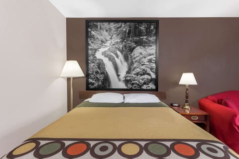 Room, 1 Queen Bed, Accessible, Non Smoking (Mobility,Tub w/Grab Bars,Pet-Friendly) | Desk, laptop workspace, blackout drapes, cribs/infant beds