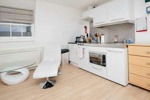 Classic Studio | Private kitchen | Fridge, microwave, oven, stovetop