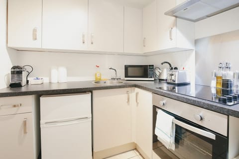 Deluxe Studio | Private kitchen | Fridge, microwave, oven, stovetop