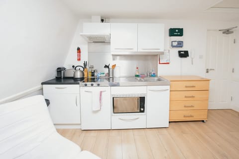 Classic Studio | Private kitchenette | Fridge, microwave, oven, stovetop