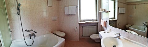 Shower, free toiletries, hair dryer, bidet