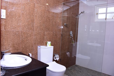 Deluxe Triple Room | Bathroom | Shower, free toiletries, hair dryer, bidet