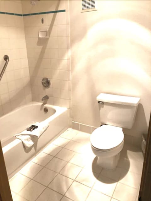 Combined shower/tub, free toiletries, hair dryer, towels