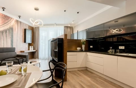 Superior Studio Suite, 1 Double Bed with Sofa bed, Non Smoking, Private Bathroom | Private kitchen | Full-size fridge, stovetop, dishwasher, electric kettle