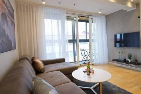 Apartment, 1 Bedroom, Balcony | Living room | 40-inch flat-screen TV with cable channels, TV