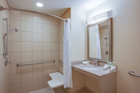 Combined shower/tub, free toiletries, hair dryer, towels