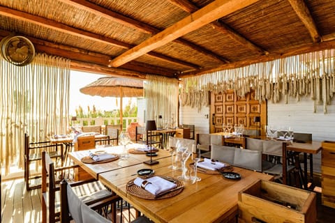 Dinner served, local and international cuisine