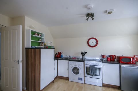 Apartment, 1 Bedroom | Private kitchen | Fridge, microwave, oven, stovetop