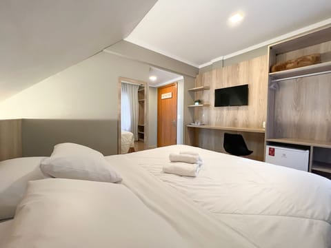 Deluxe Double or Twin Room | Minibar, desk, blackout drapes, soundproofing