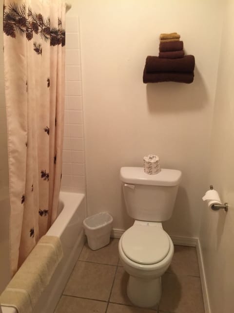 Combined shower/tub, free toiletries, hair dryer, towels