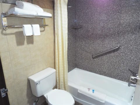 Combined shower/tub, free toiletries, towels