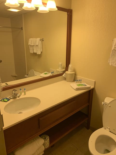 Combined shower/tub, free toiletries, hair dryer, towels