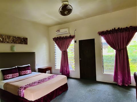 Deluxe Double Room (A/C) | Desk, free WiFi, bed sheets