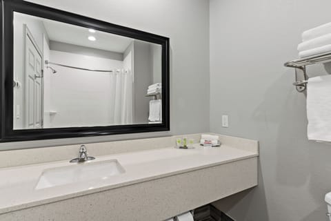 Hypo-allergenic bedding, down comforters, desk, blackout drapes