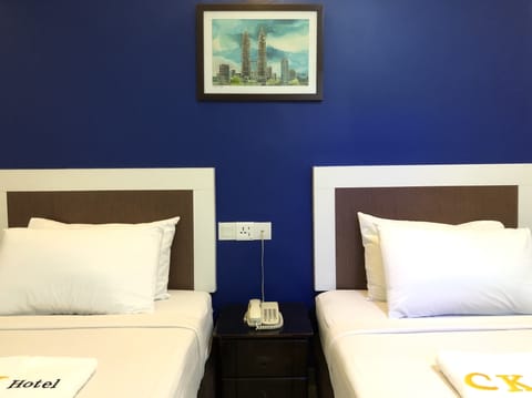 Superior Twin Room | Iron/ironing board, free WiFi