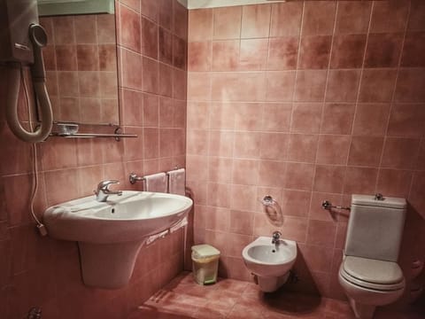 Shower, free toiletries, hair dryer, bidet
