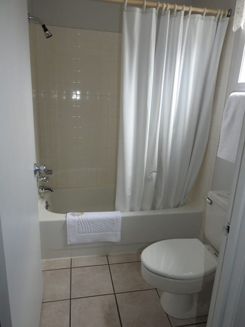 Combined shower/tub, towels