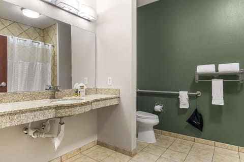 Suite, 1 King Bed, Accessible, Bathtub (with Sofabed) | Bathroom | Designer toiletries, hair dryer, towels, soap