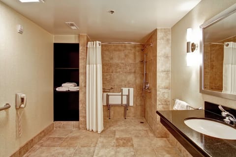 Room, 1 King Bed, Accessible | Bathroom shower