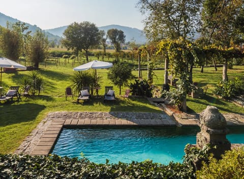 Outdoor pool, a natural pool, sun loungers