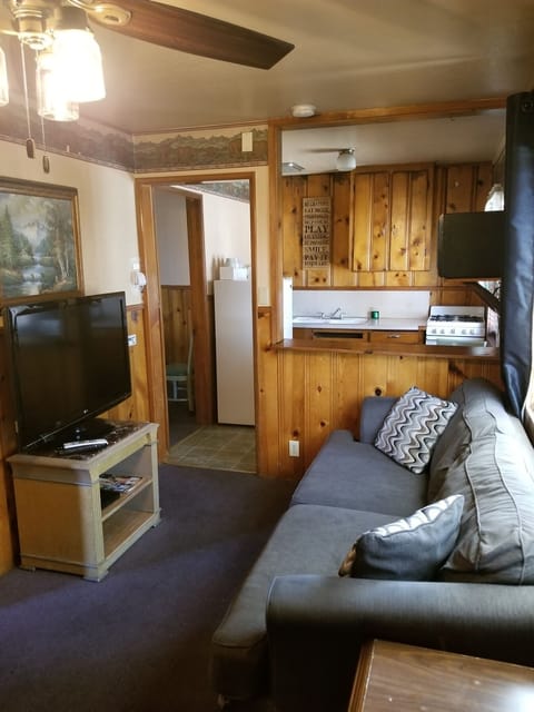 Standard Cabin, 2 Queen Beds, Fireplace | Living area | 32-inch flat-screen TV with cable channels