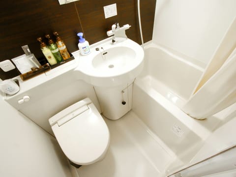 Combined shower/tub, hair dryer, electronic bidet, towels