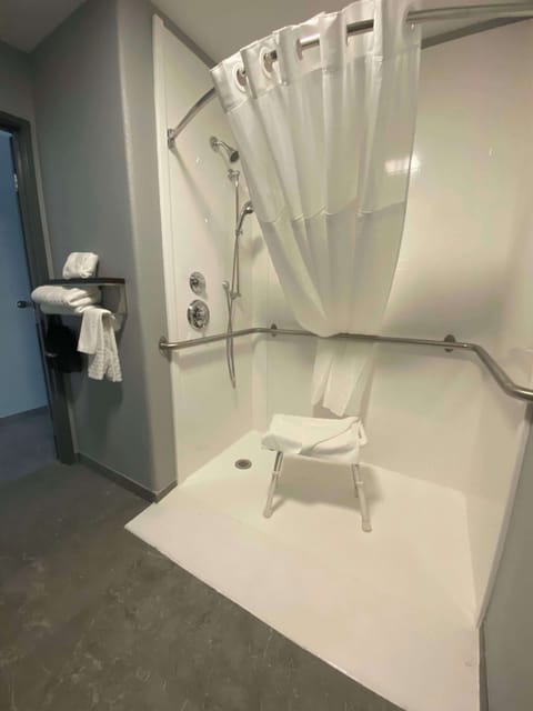 Standard Room, 1 King Bed, Accessible, Non Smoking | Accessible bathroom