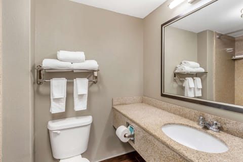 Combined shower/tub, free toiletries, hair dryer, towels