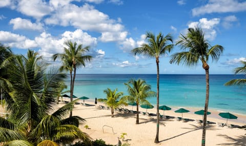 Beach/ocean view