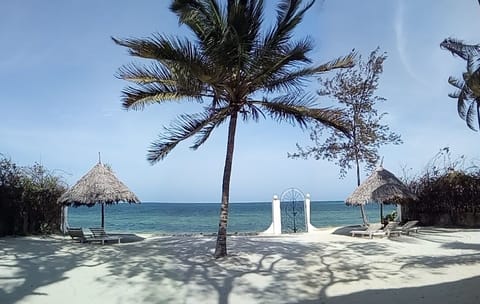 On the beach, beach bar