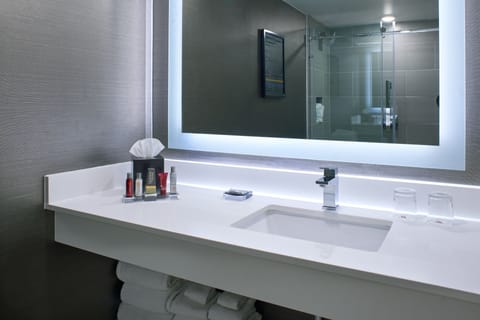 Shower, hydromassage showerhead, eco-friendly toiletries, hair dryer