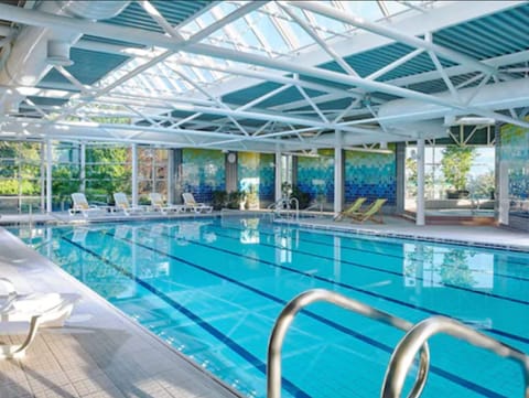 Indoor pool, sun loungers