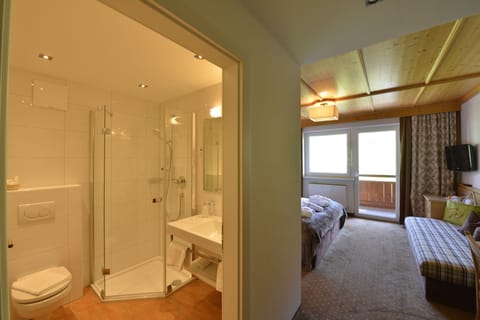 Shower, free toiletries, hair dryer, bathrobes