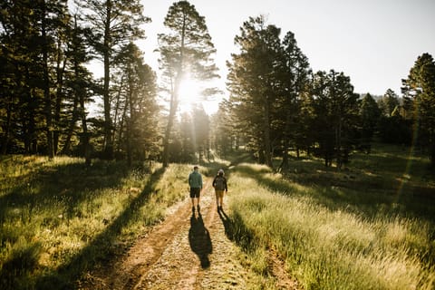 Hiking