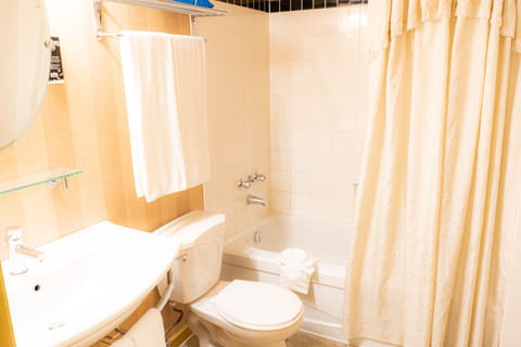 Combined shower/tub, free toiletries, hair dryer, towels