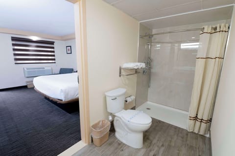 Deluxe Room, 1 King Bed, Non Smoking | Bathroom | Combined shower/tub, free toiletries, hair dryer