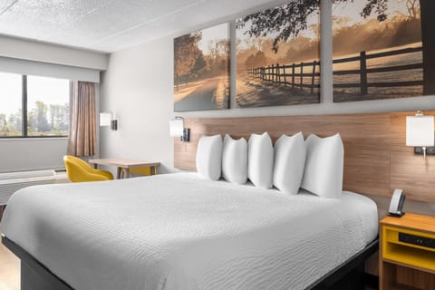 Standard Room, 1 King Bed | Desk, blackout drapes, iron/ironing board, free WiFi