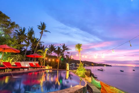 Outdoor pool, sun loungers