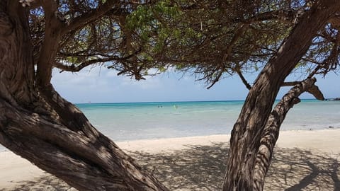 On the beach, white sand, sun loungers, beach towels