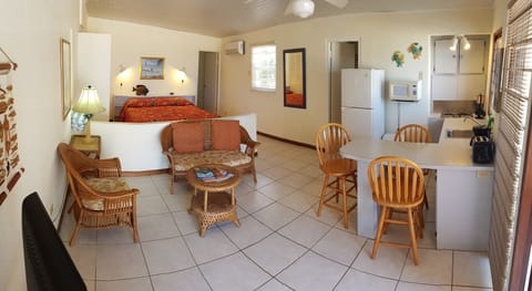 Ocean-View Studio | Private kitchenette | Fridge, microwave, stovetop, coffee/tea maker