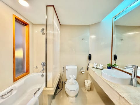 Executive Suite | Bathroom | Combined shower/tub, free toiletries, hair dryer, bathrobes