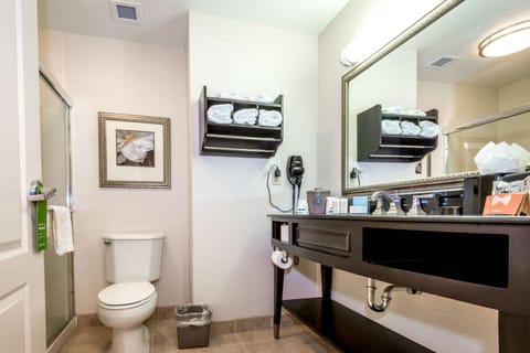 Combined shower/tub, free toiletries, hair dryer, towels