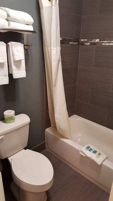 Combined shower/tub, free toiletries, hair dryer, towels